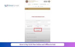 How to Pay ILOE Fine